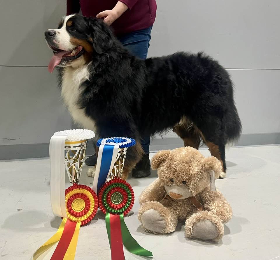 Lahti international dog show 25.4.2026