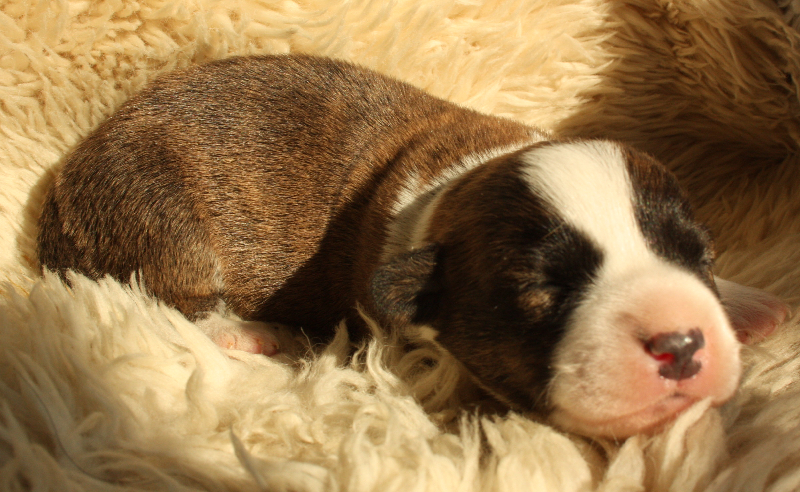 Gallery for o2-litter-cardigan