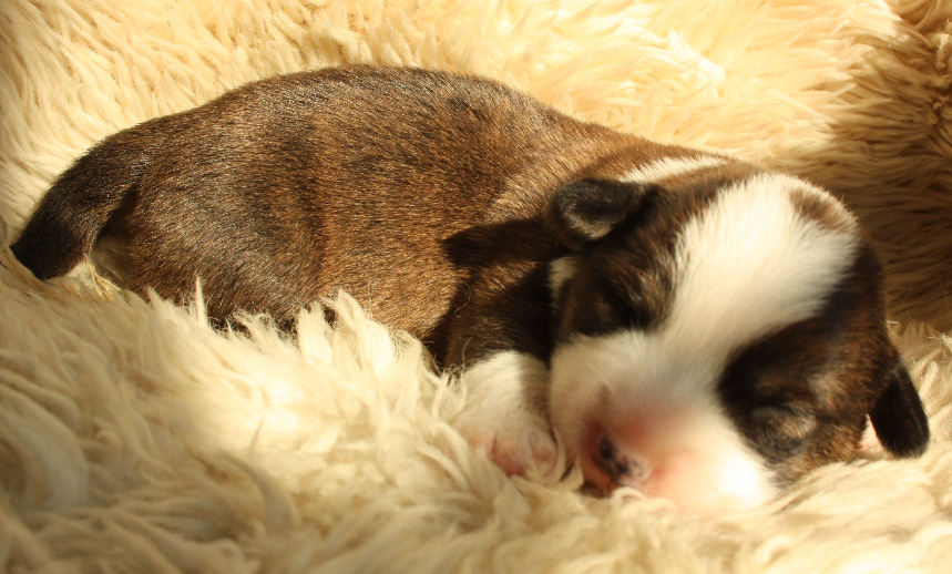 Gallery for o2-litter-cardigan
