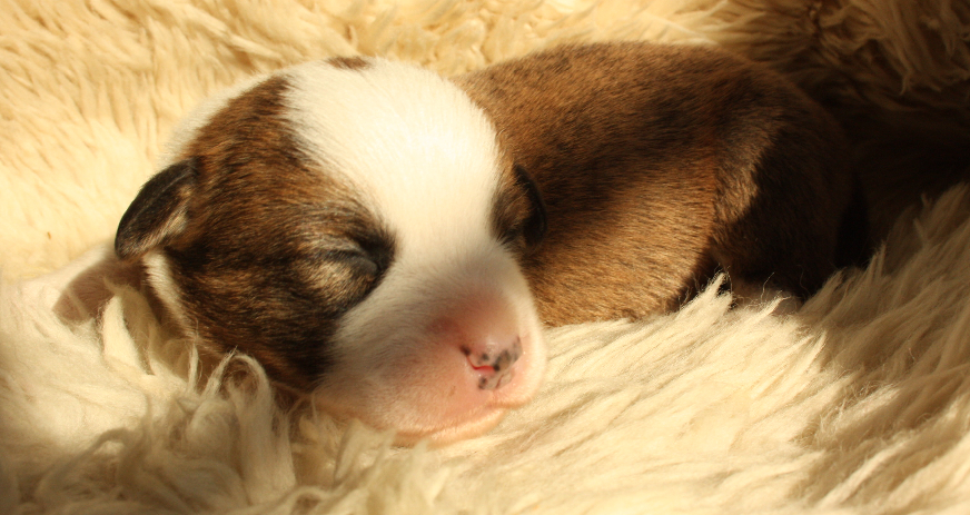 Gallery for o2-litter-cardigan