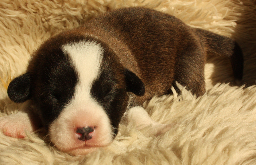Gallery for o2-litter-cardigan
