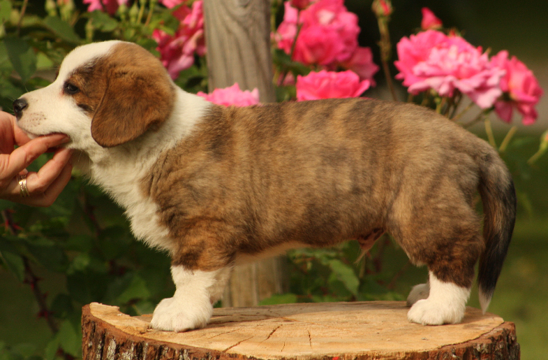 Gallery for o2-litter-cardigan