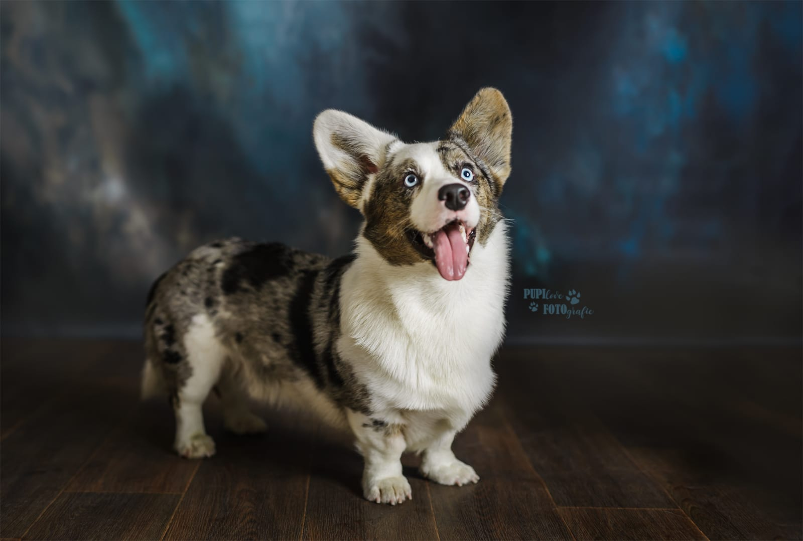 Gallery for r2-litter-cardigan