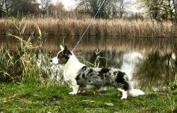 Gallery for r2-litter-cardigan