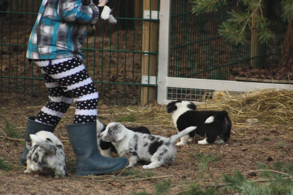 Gallery for r2-litter-cardigan