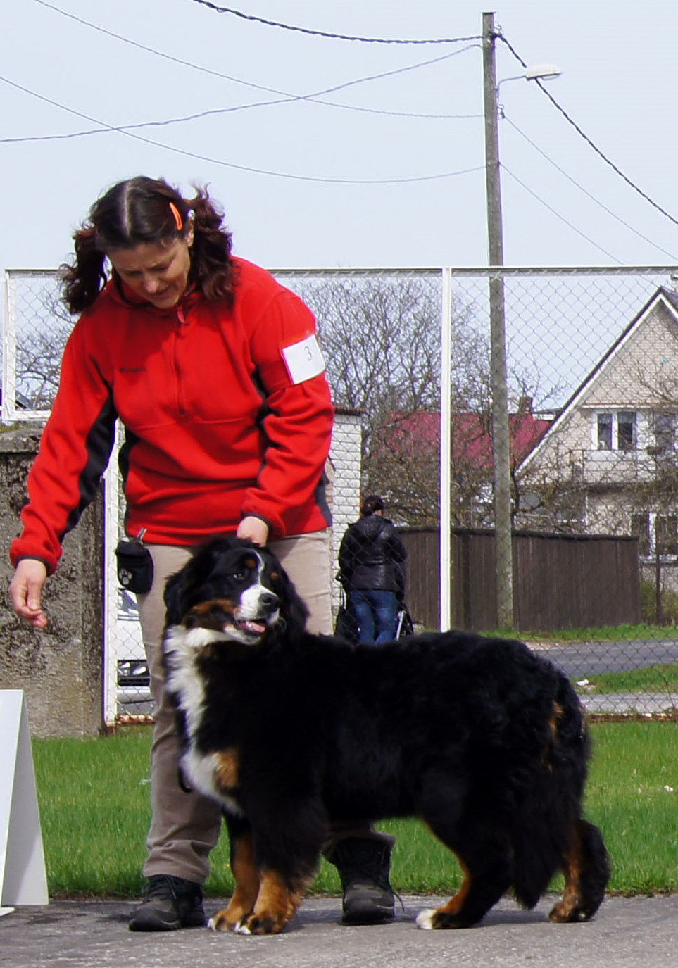 Gallery for e2-litter-bernese